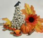 Pumpkin Dragon